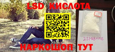 шишки Обь