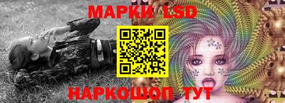 шишки Обь