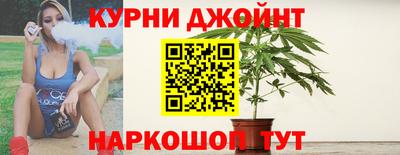 шишки Обь