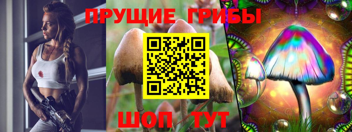 Петропавловск-Камчатский  Псилоцибиновые грибы мухоморы  Галлюциногенные грибы Psilocybine cubensis  Вход с VPN 